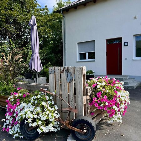 Ferienwohnungen Frank Segnitz ภายนอก รูปภาพ