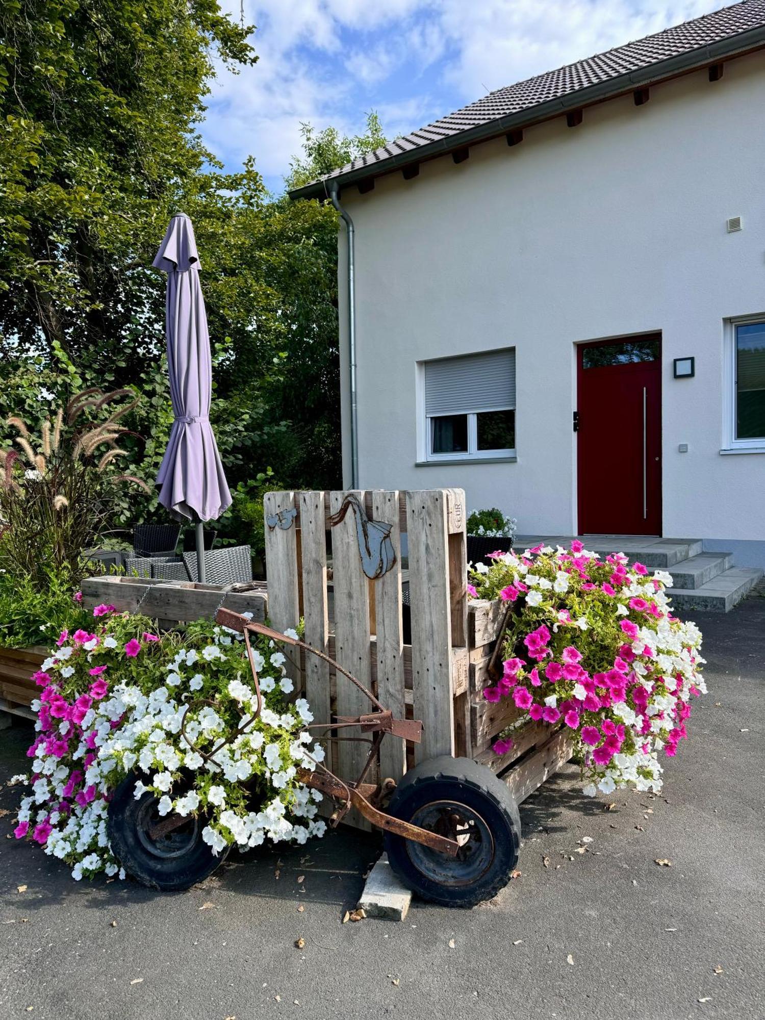 Ferienwohnungen Frank Segnitz ภายนอก รูปภาพ